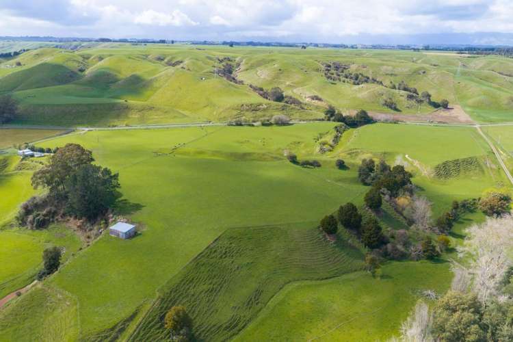 449 Beaconsfield Valley Road Waituna West_9