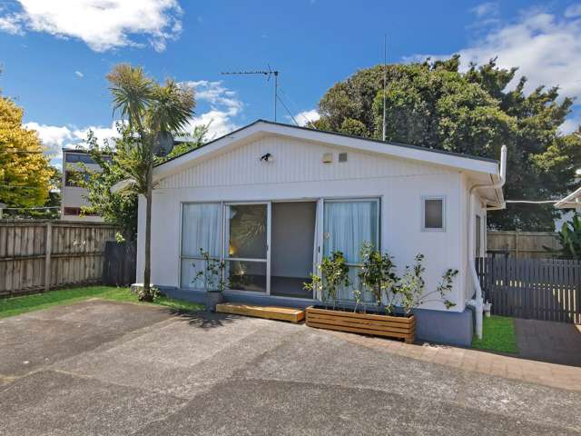 20 Ferguson Street Manurewa_2