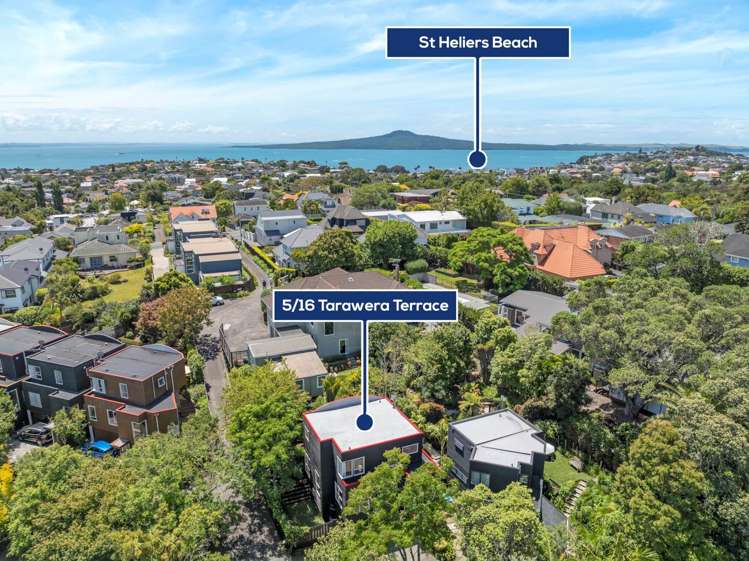 5/16 Tarawera Terrace Saint Heliers_26