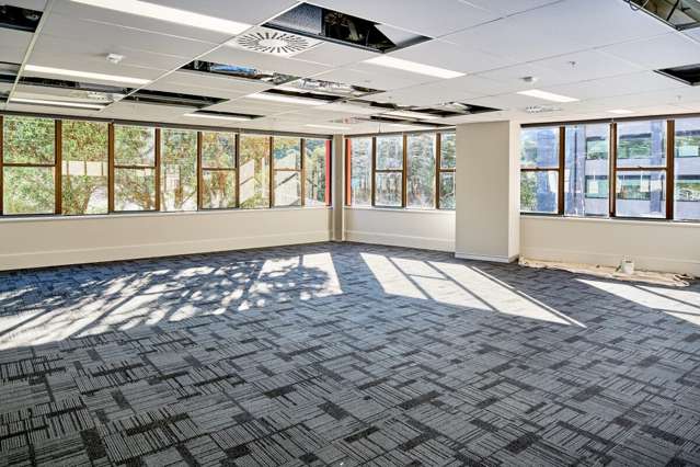 11 Aurora Terrace Wellington Central_3