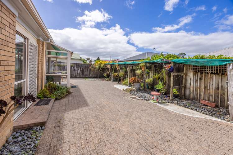 32b Brooklyn Road Claudelands_24