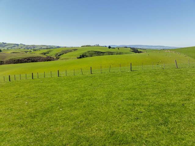 192 Robertson Road Waikaka_3