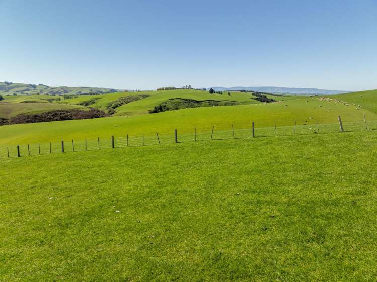 192 Robertson Road Waikaka_3