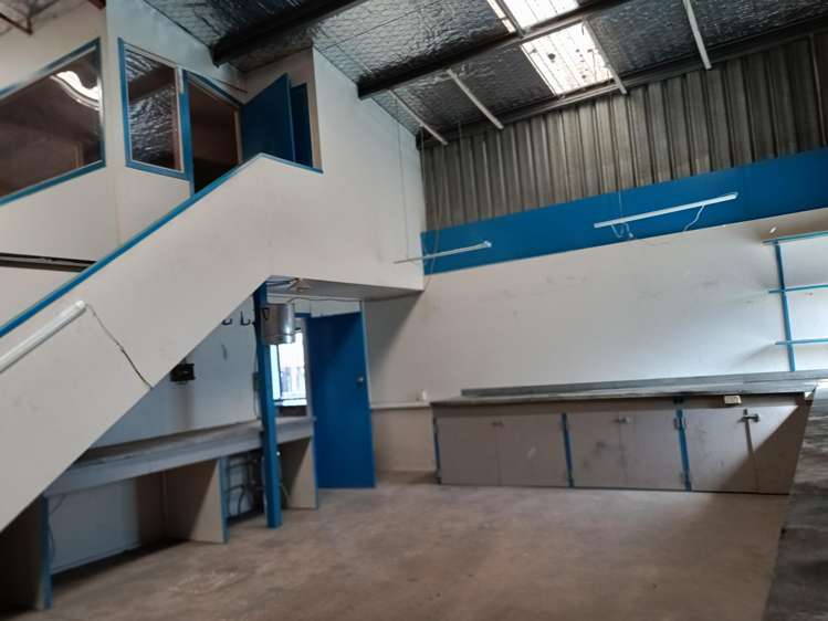 129 Thames Street Morrinsville_6