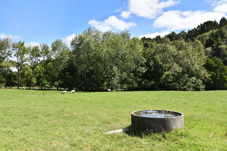 23 Screen Road Coatesville_19