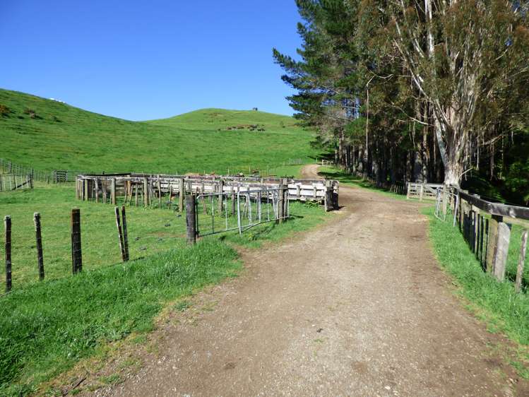 2229 State Highway 31, Kawhia Road Otorohanga_13