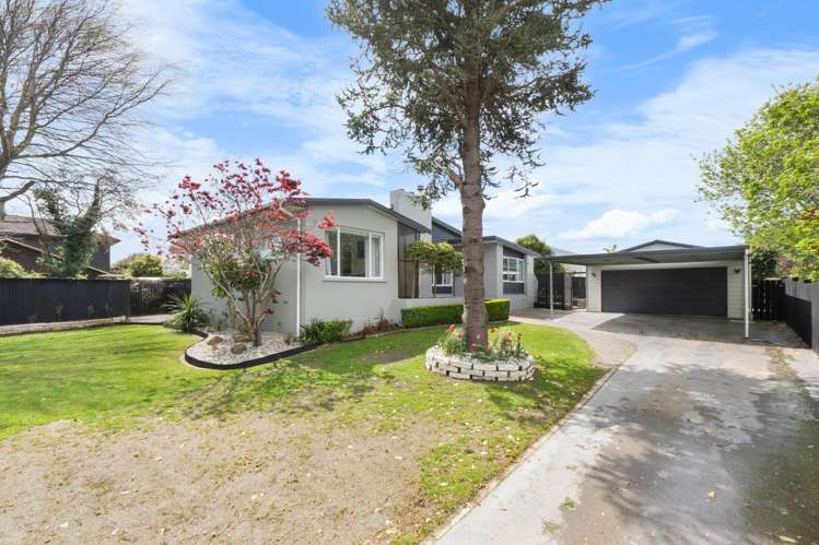 101 Ward Street Waverley_37