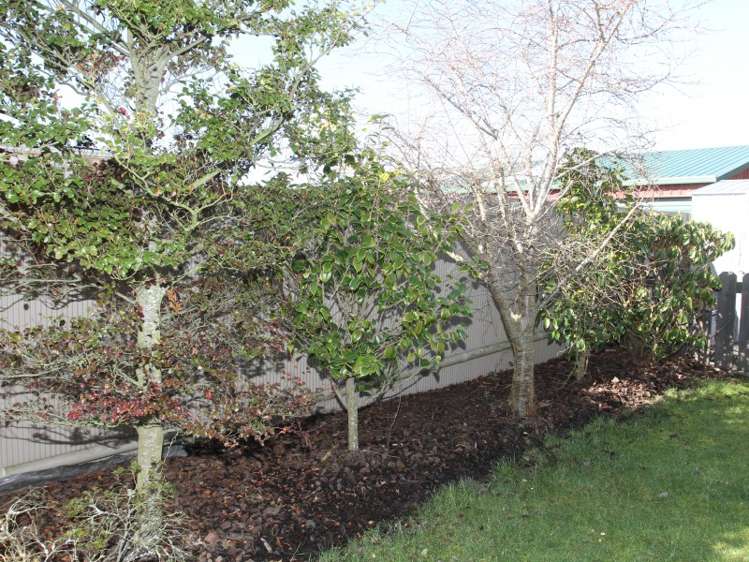 61 Old North Road Marchwiel_5