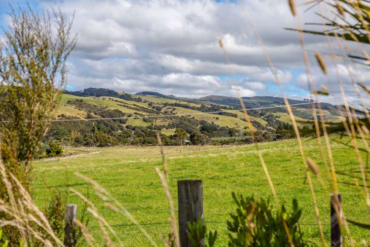 388 Ruakokoputuna Road Ruakokoputuna_9