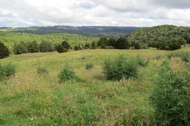 123 Te Ahu Ahu Road Ohaeawai_3