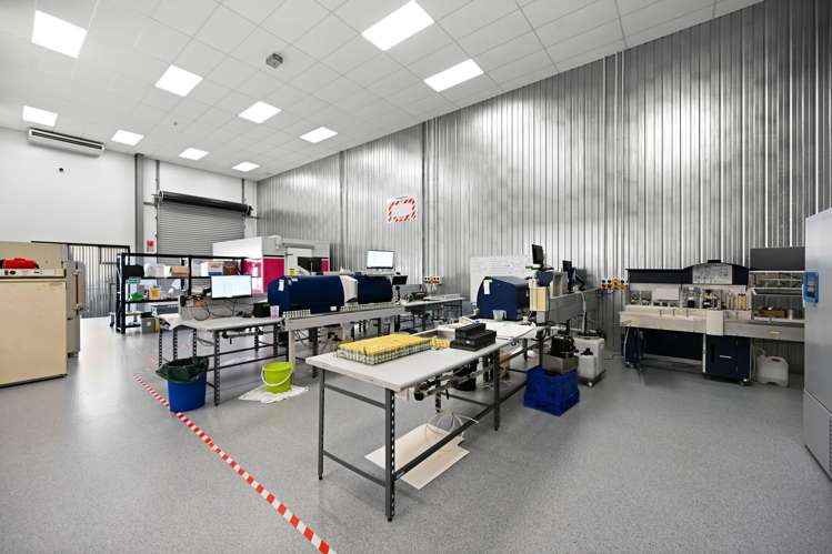 87 Church Road Pukete_7