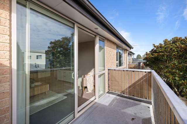 25b Montrose Street Sydenham_3