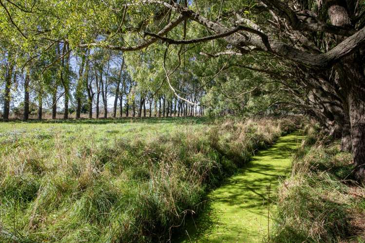 109 Marshalls Road Springston_48