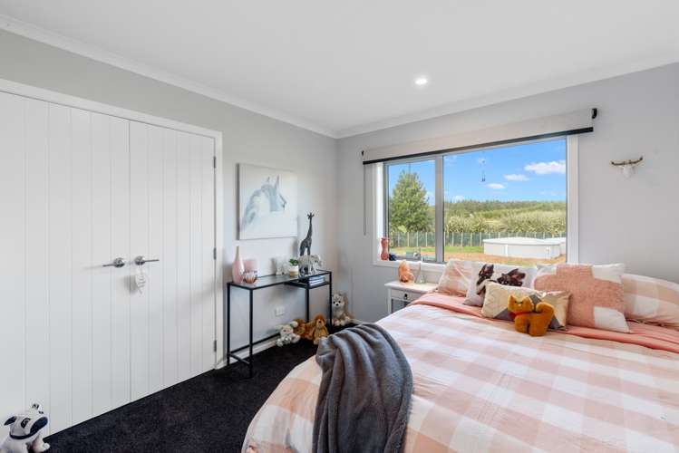 43 Kanuka Drive Waitarere_7