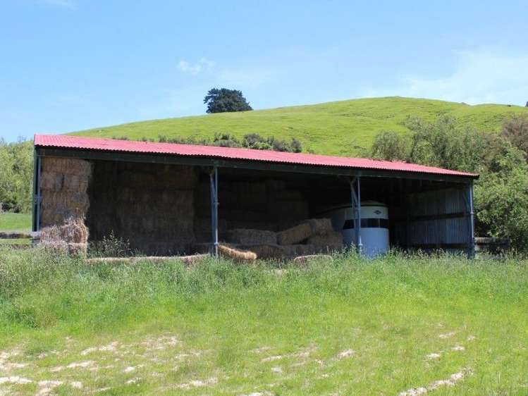 858 Oporae Road Weber_29