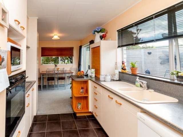 31 Freyberg Avenue Tamatea_4