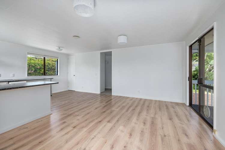 2/6 Wech Drive Warkworth_10