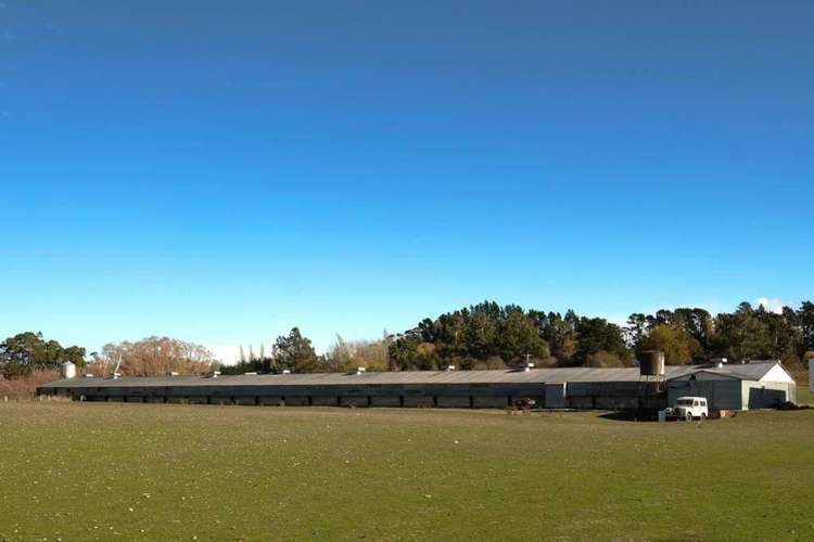 172 Overtons Road Scargill_6