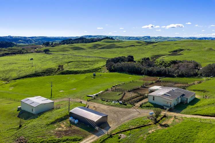 767 Te Akau Coast Road Te Akau_19
