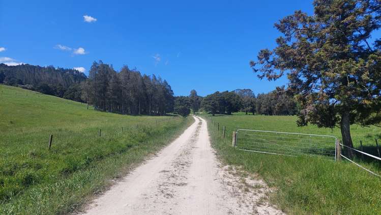 111 Corbett Road Hikurangi_23