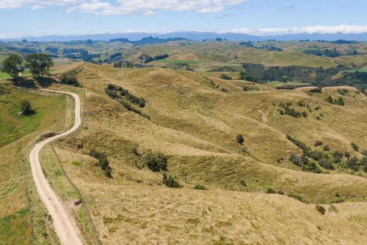 1618 Waituna Tapuae Waituna West_17