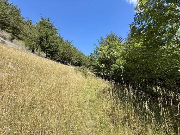 Lot 3 Fortification Road Weston_19