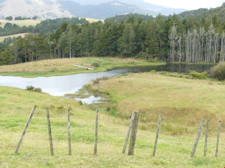 1004 Opanake Road Dargaville Surrounds_11