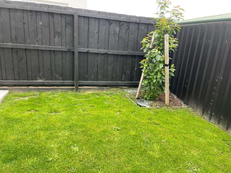 4/13 Leitch Street Somerfield_18