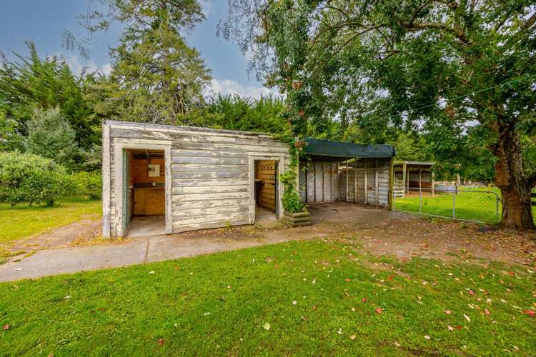 16 Swamp Road Ongaonga_22