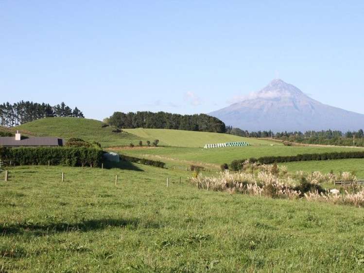 1355 Mountain Road Inglewood_21