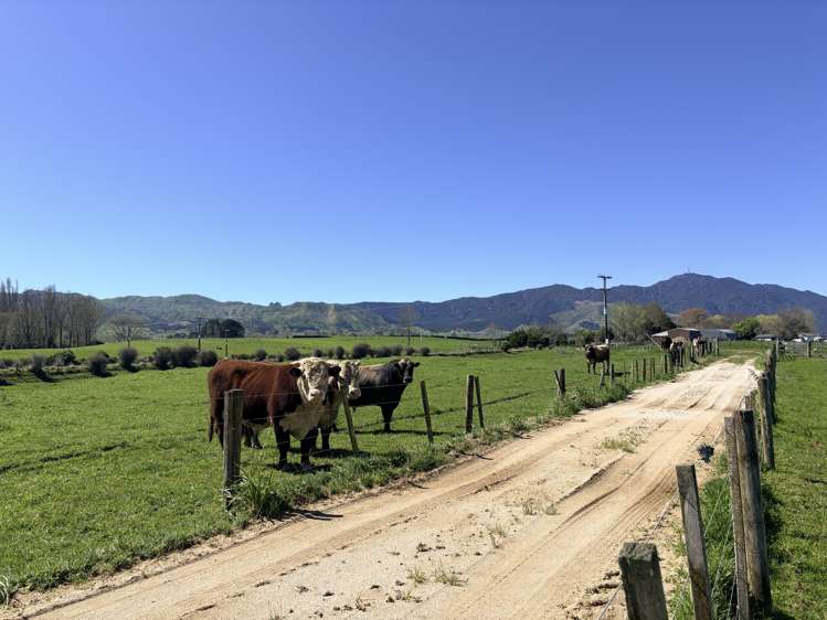 5661 State Highway 26 Te Aroha_17