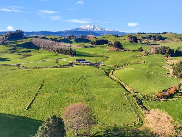 North-Facing Land with Mt Ruapehu in View