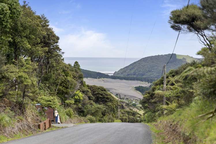 19 Te Aute Ridge Road Waitakere_27