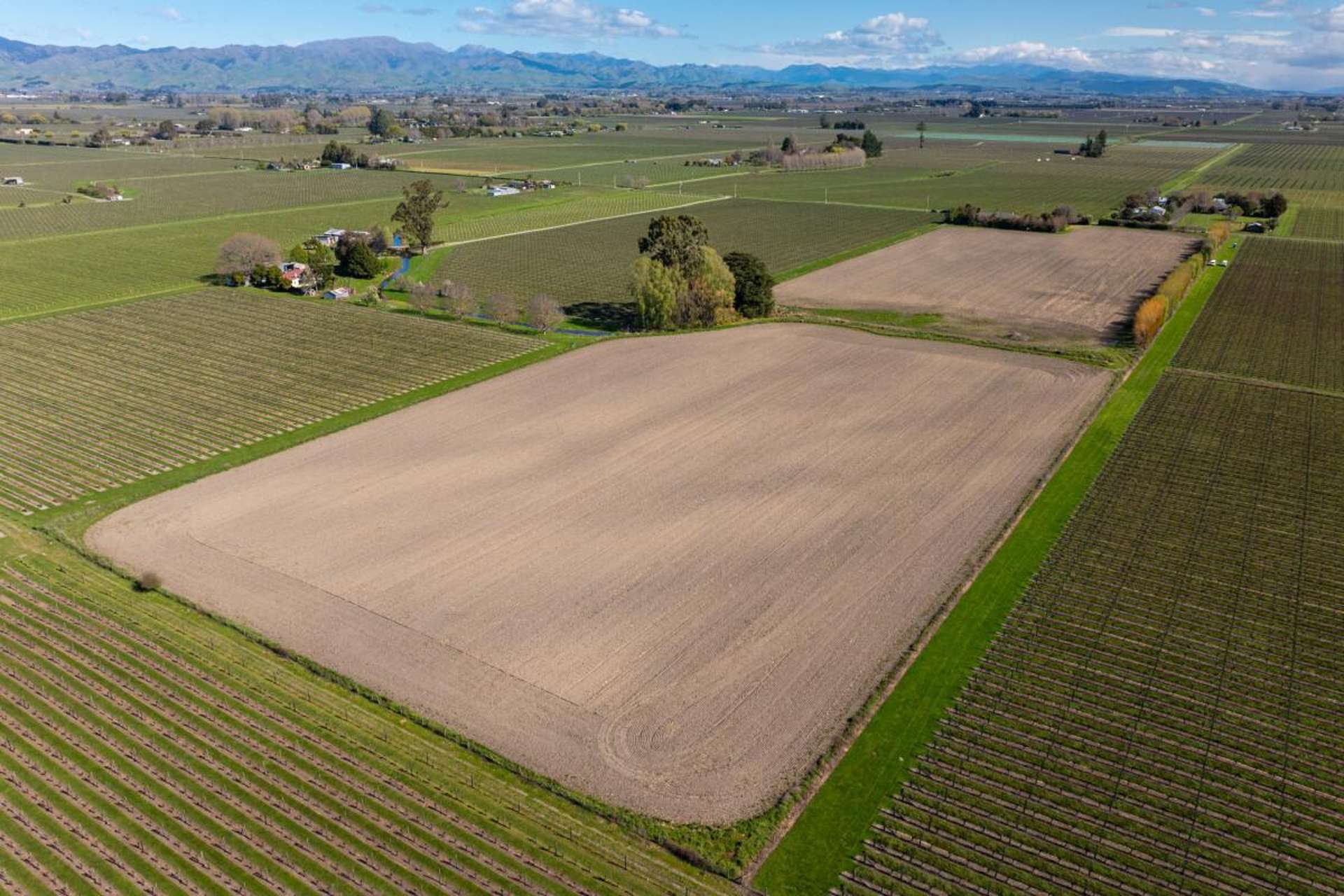 150 Selmes Road Rapaura_0