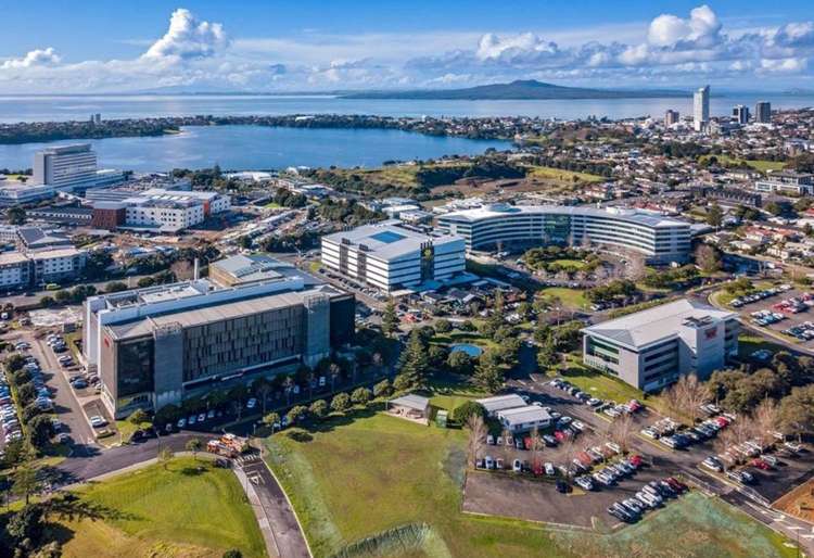 68-76 Taharoto Road Takapuna_6