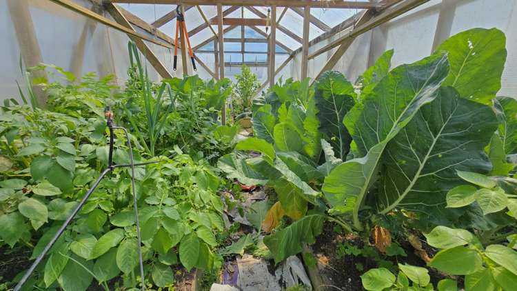 711B La Fontaine Road Harihari_22