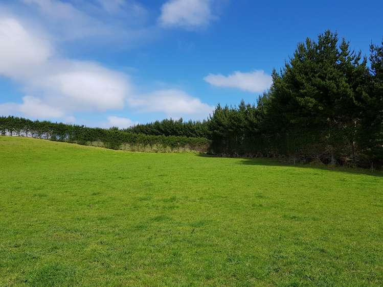 4969 Pouto Road Pouto_10