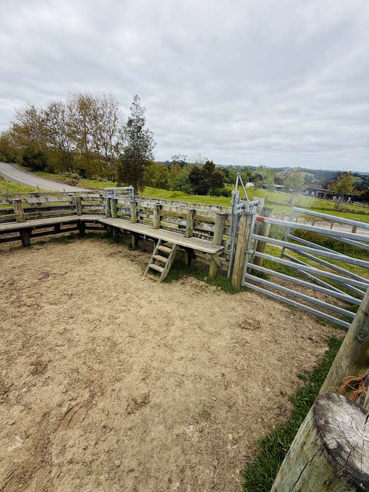 117 Pigs Head Road Whakapara_43
