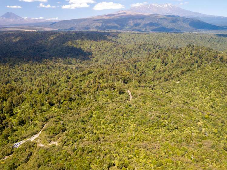 552b Cuff Road National Park_16