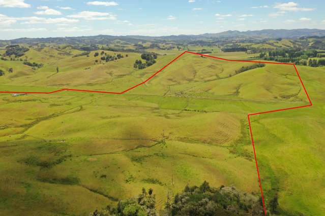 104 ACRES LIFESTYLE BLOCK CLOSE TO TOWN