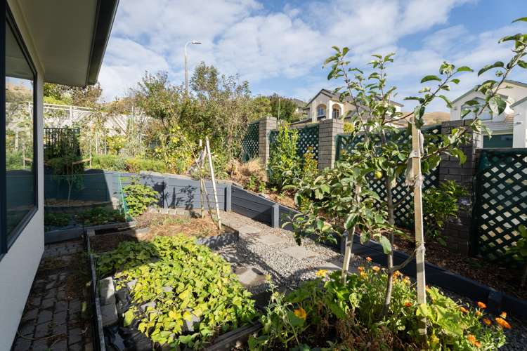 7 Amesbury Drive Churton Park_27