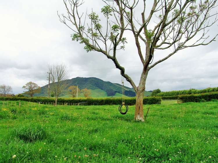 53 Kakepuku Road Te Awamutu_17