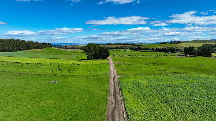 322 Wendon Creek Road Wendon_5
