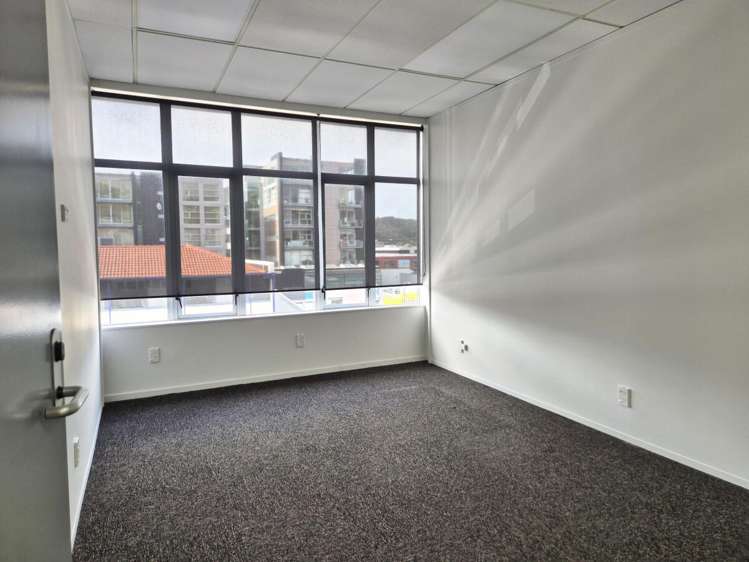 15 Walter Street Te Aro_8