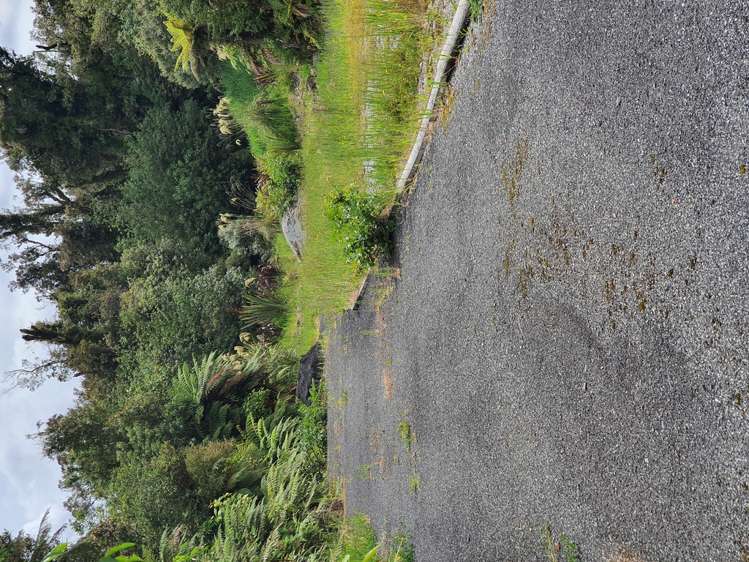 5 Middleton Place Franz Josef Glacier_11