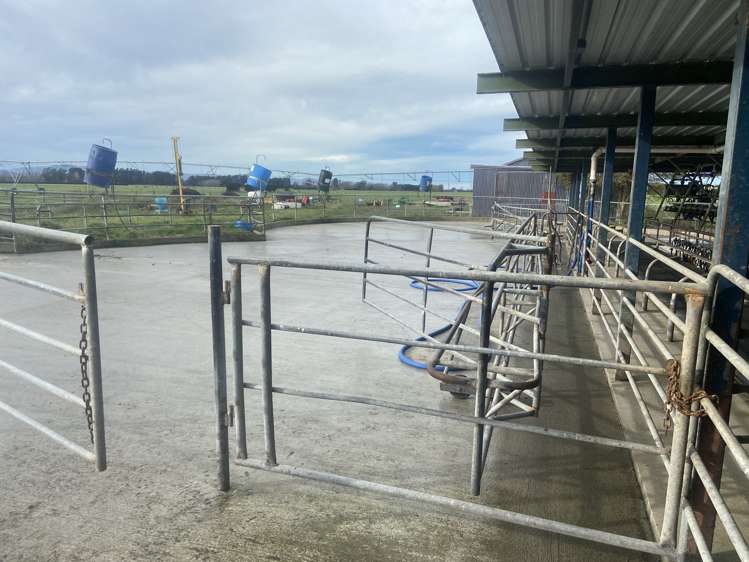 1267 Leeston Road Leeston_2