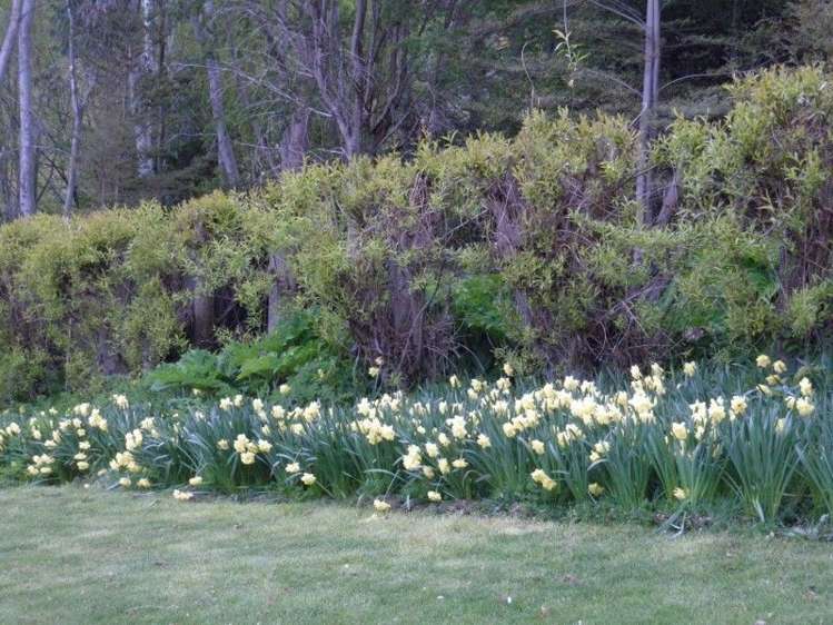 11 Arthurs Track Arthurs Point_24