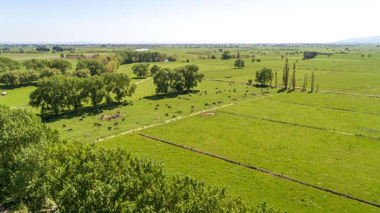 16 Ferry Road Hikutaia_7