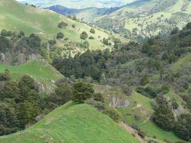 357 Summerhill Road Hinakura_8