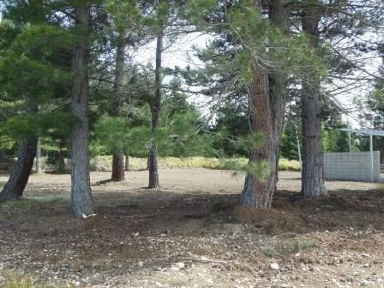 39 North West Arch Twizel_10